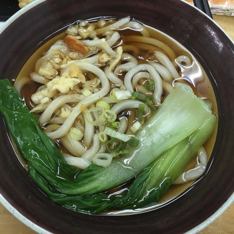 柴鱼热汤乌龙面